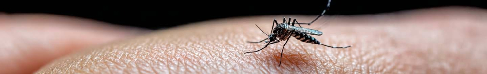 Comment soigner une piqûre de moustique rapidement ?