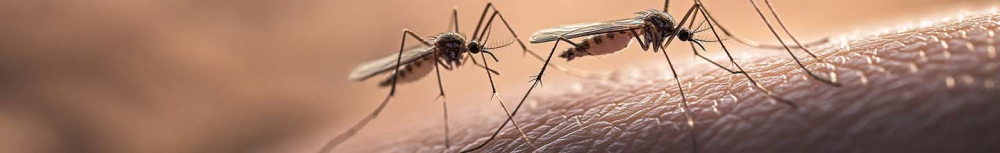 Comment savoir si on fait une réaction allergique à une piqûre ?