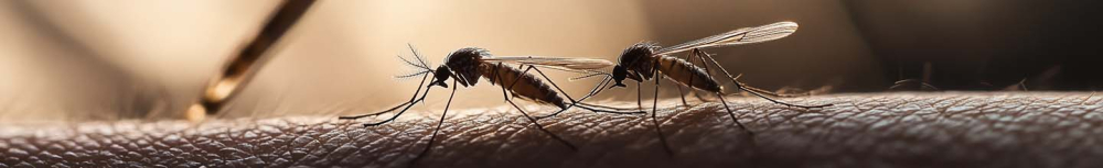 Comment savoir si une piqûre est infectée ?