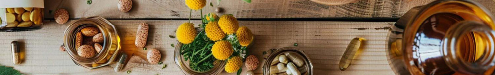Comment choisir des plantes pour dormir ?