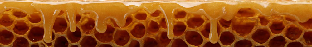 Quelle quantité de propolis par jour ?