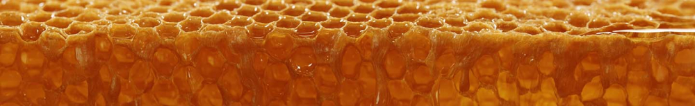 Est-ce que le propolis est bon pour la gorge ?