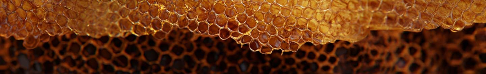 Quels sont les bienfaits de l'extrait de propolis ?