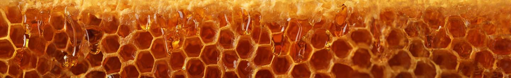 Quand faire une cure de propolis ?