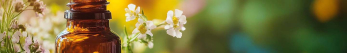 Pourquoi prendre Phosphorus 9CH ?