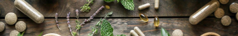 Comment choisir des plantes pour la mémoire ?