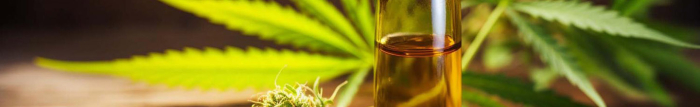 Est-il bon de prendre du CBD tous les jours ?