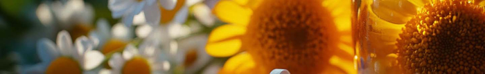 Quel est le meilleur Anti-inflammatoire homéopathique ?