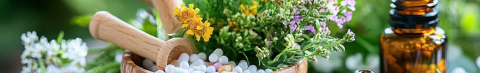 Quel traitement naturel contre les poux ?
