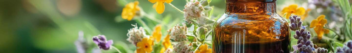 Quel homéopathie pour mal de dent ?