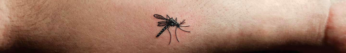 Quelle odeur déteste le moustique ?