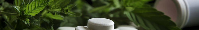 Les plantes peuvent-elles améliorer le sommeil ?