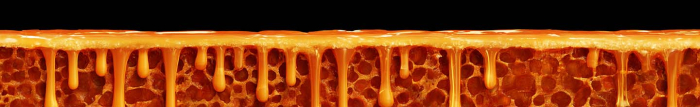 Quels sont les effets de la propolis ?