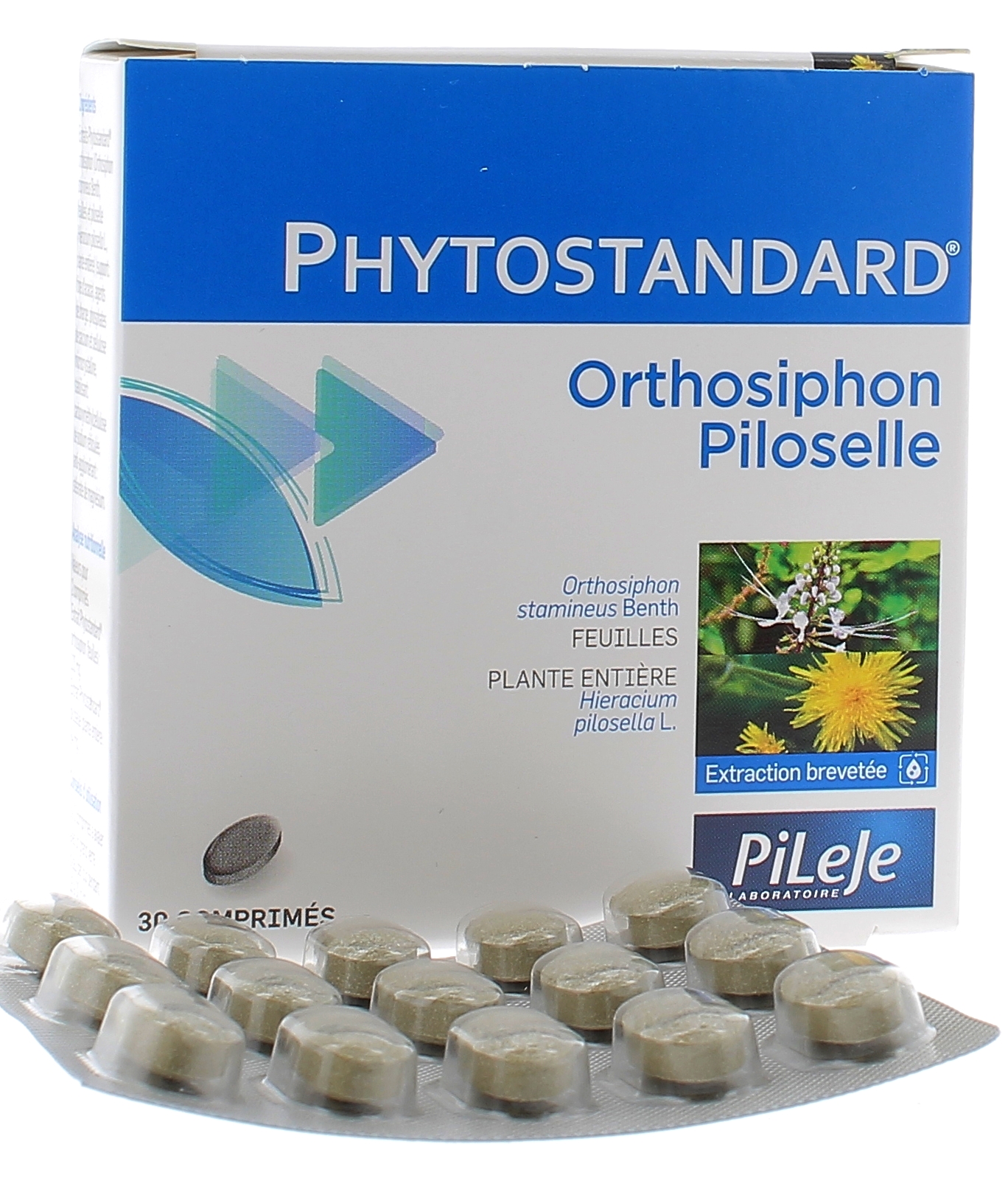 Phytostandard d'orthosiphon et de piloselle Pileje - bo&icirc;te de 30 comprim&eacute;s