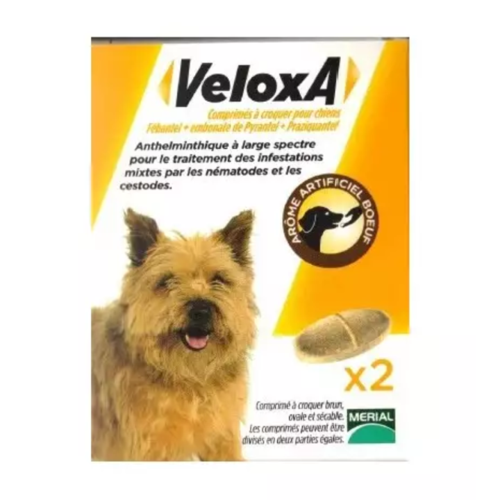 Vermifuge chien 17,5kg goût boeuf Veloxa - boite de 2 comprimés 