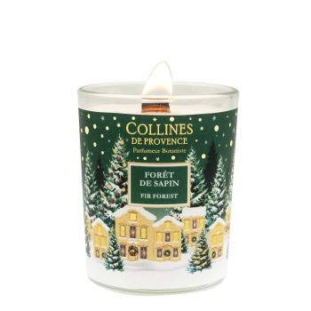 Bougie parfumée Forêt de sapin Collines de Provence