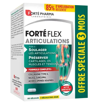 Forté Flex articulations Forté Pharma - boite de 90 gélules