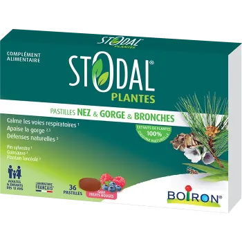Stodal plantes pastilles nez gorge bronches go&ucirc;t fruits rouges Boiron - boite de 36 pastilles