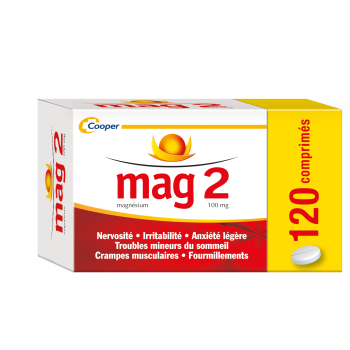 Mag 2 100mg comprim&eacute; - bo&icirc;te de 120 comprim&eacute;s