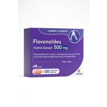 Flavonoïdes 500 mg Mylan comprimé pelliculé - 120 comprimés