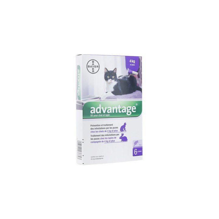 Advantage 80 pour chat et lapin plus de 4 kg Bayer