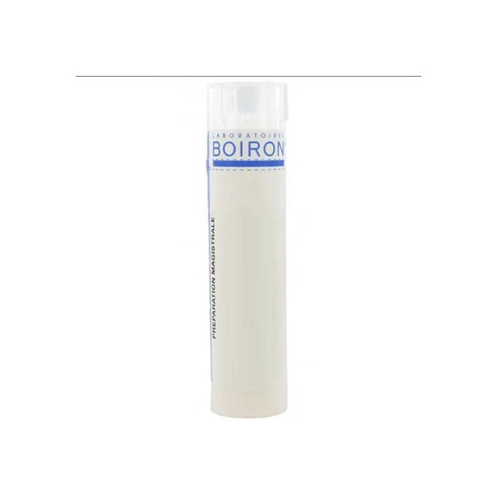 ARNICA MONTANA (korsakov) granules Boiron - tube 4 g