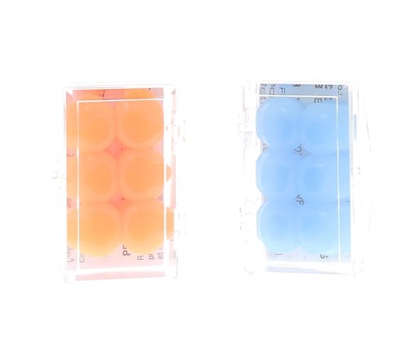 Protections auditives en silicone BodyGuard Ear – 3 paires