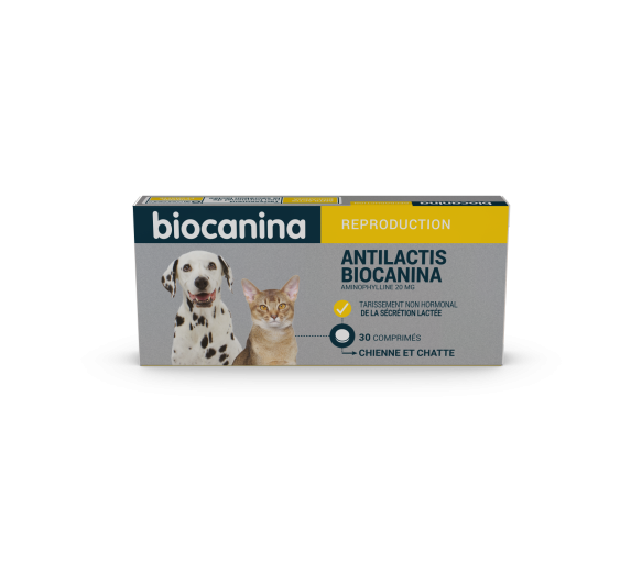 Antilactis Biocanina – 30 comprimés sécables