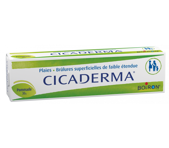 Cicaderma pommade Boiron - tube de 30 g - image 1