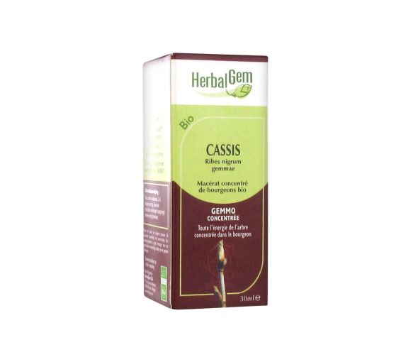 Cassis BIO Herbalgem - flacon de 30 ml