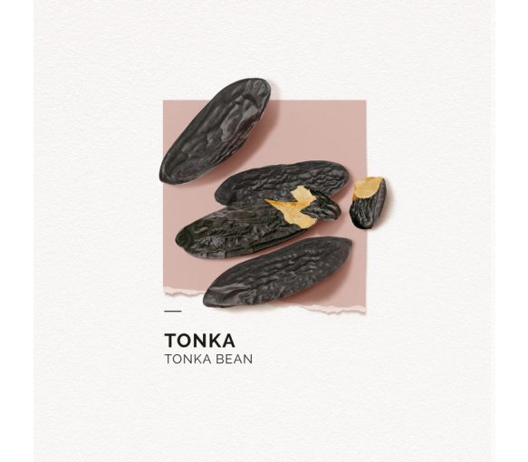 Eau de parfum Tonka Solinotes - image 1
