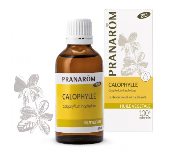Huile végétale Calophylle bio Pranarôm - flacon de 50 ml