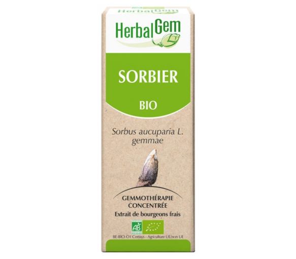 Sorbier bio Herbalgem - flacon de 30 ml