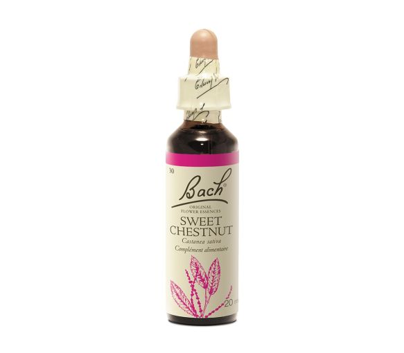 Fleur de Bach Sweet Chestnut Castanea sativa - flacon de 20 ml - image 1