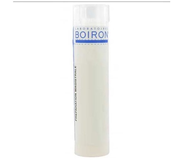BRYONIA korsakov granules Boiron - Tube 4 g