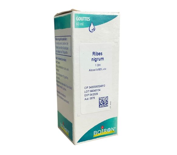 Ribes nigrum 1DH Boiron – 60 ml - image 1