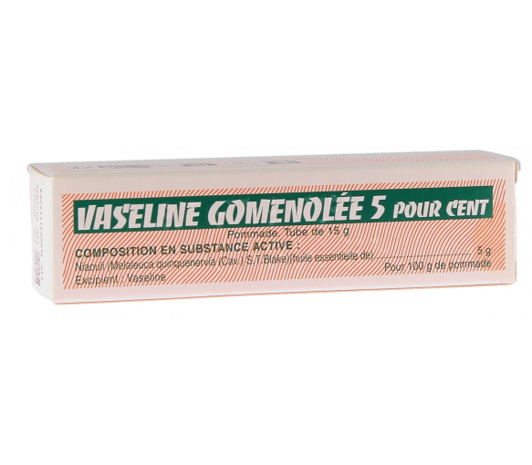 Vaseline gomenolée 5% pommade - tube de 15g - image 1