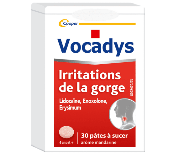 Vocadys pâte à sucer - boîte 30 pâtes - image 1