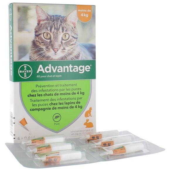 Advantage 40 pour chat et lapin moins de 4 kg Bayer