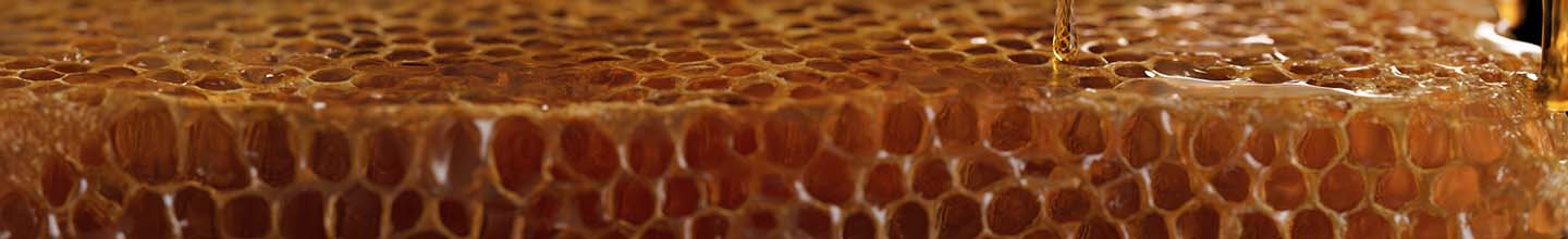 Quand prendre des gouttes de propolis ?