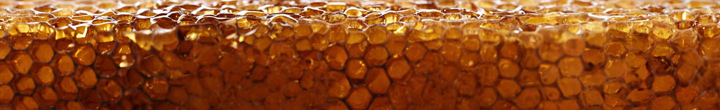 Quelle est la meilleure forme de propolis ?