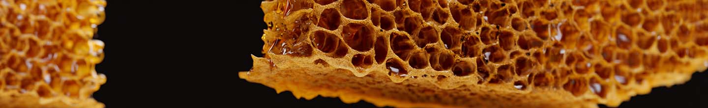 Pourquoi faire une cure de propolis ?